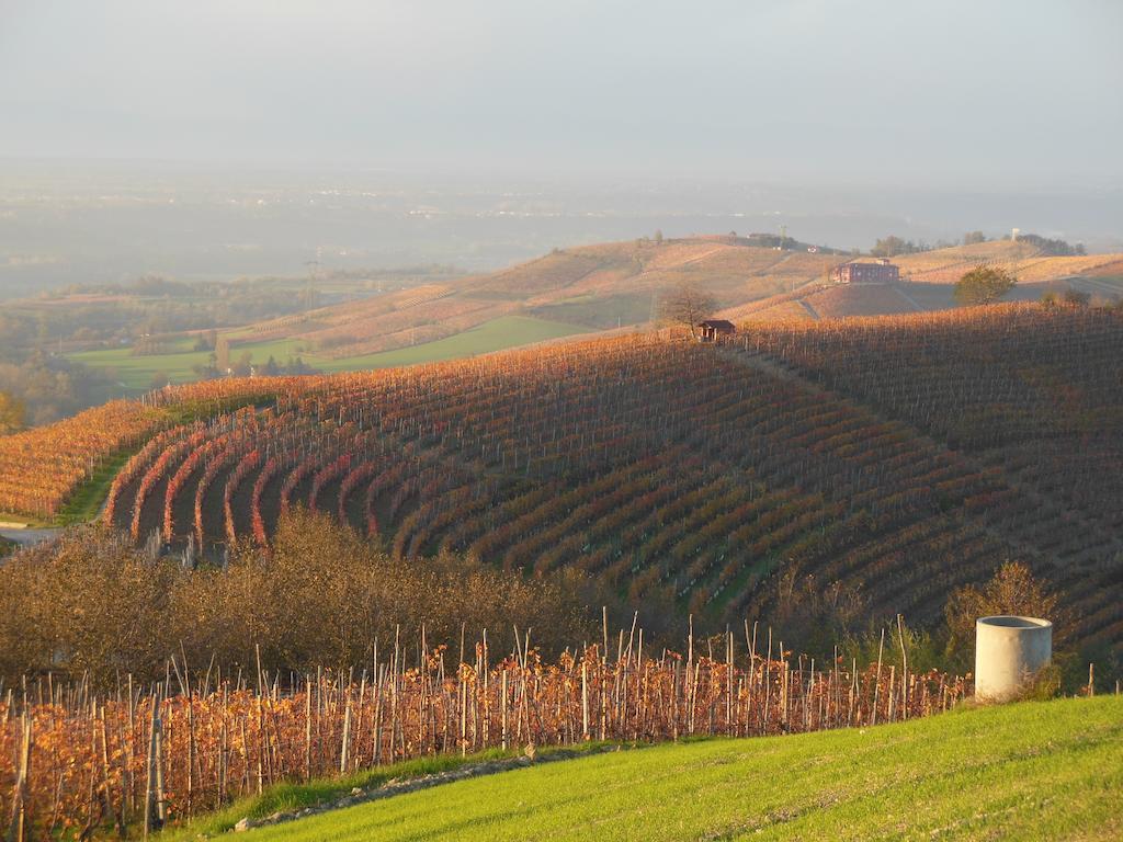 Agriturismo Affittacamere Barbarossa Dogliani Dış mekan fotoğraf