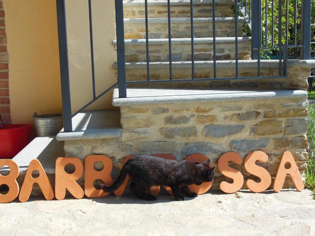Agriturismo Affittacamere Barbarossa Dogliani Dış mekan fotoğraf