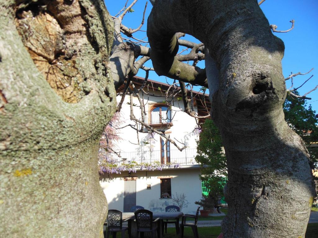 Agriturismo Affittacamere Barbarossa Dogliani Dış mekan fotoğraf
