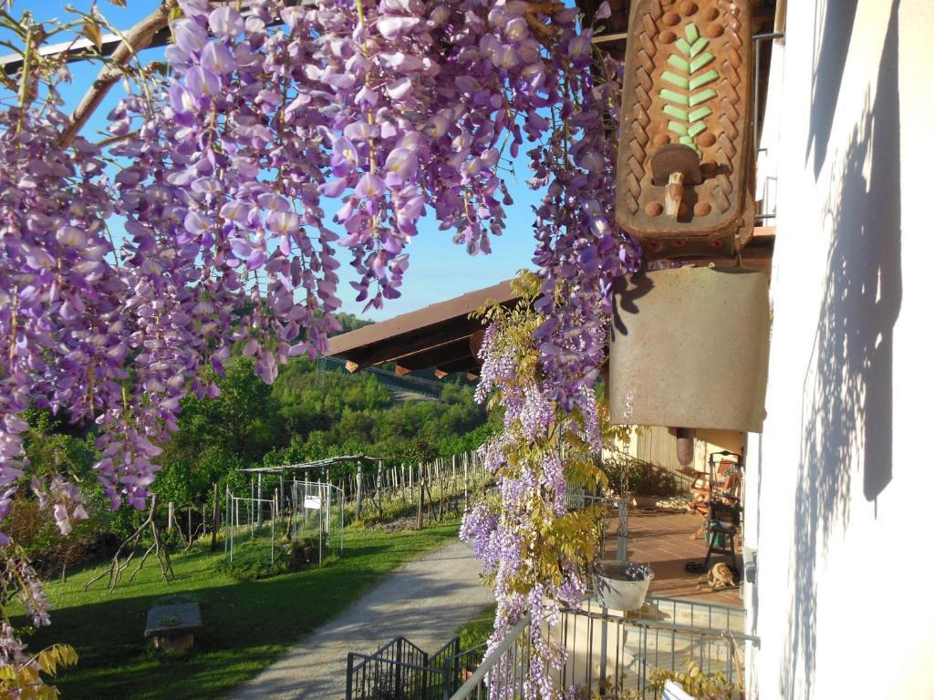 Agriturismo Affittacamere Barbarossa Dogliani Dış mekan fotoğraf